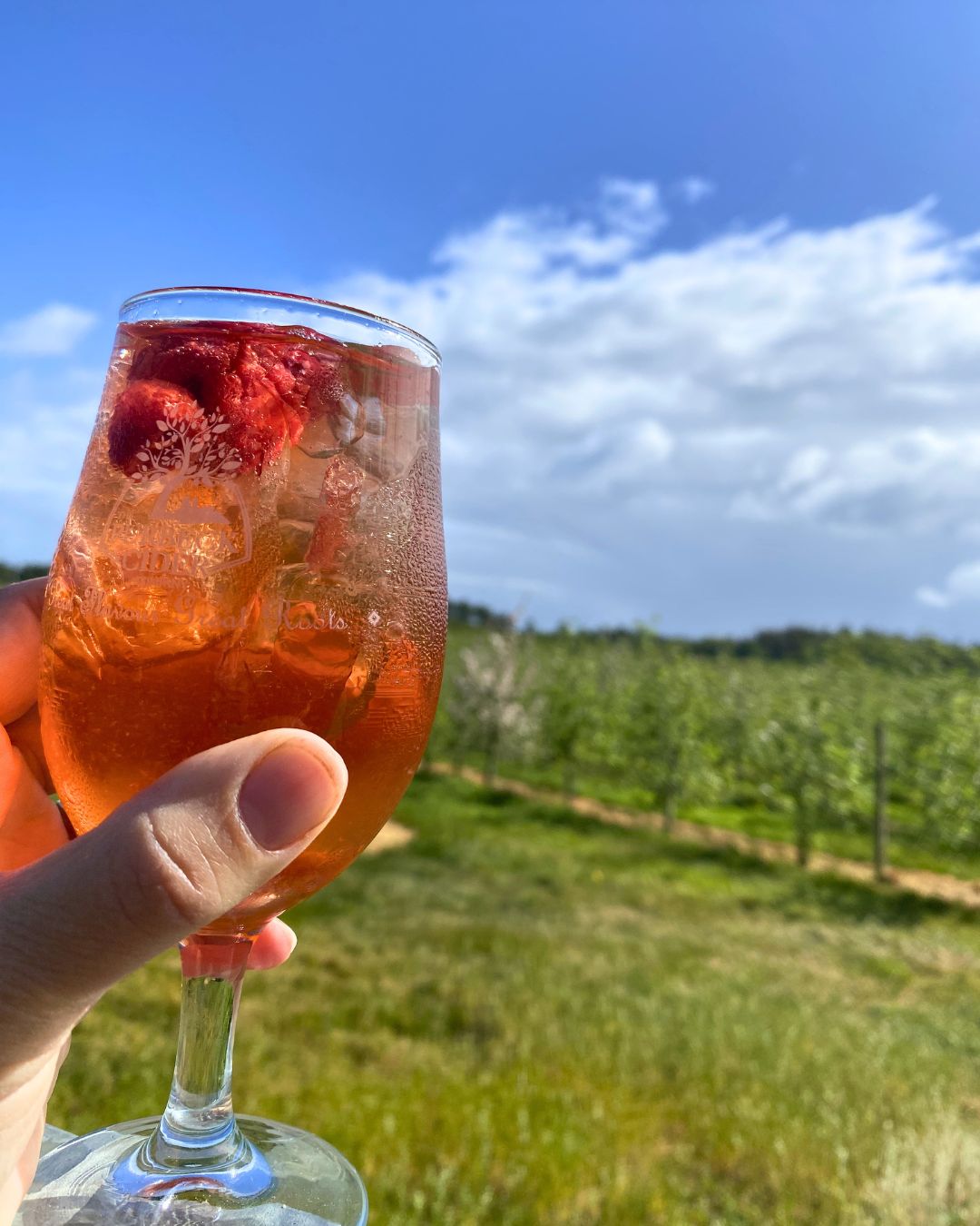 Purbeck Cider Cocktails- The Gin Blush