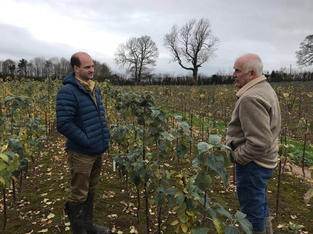 Our New Orchard Gets Planted