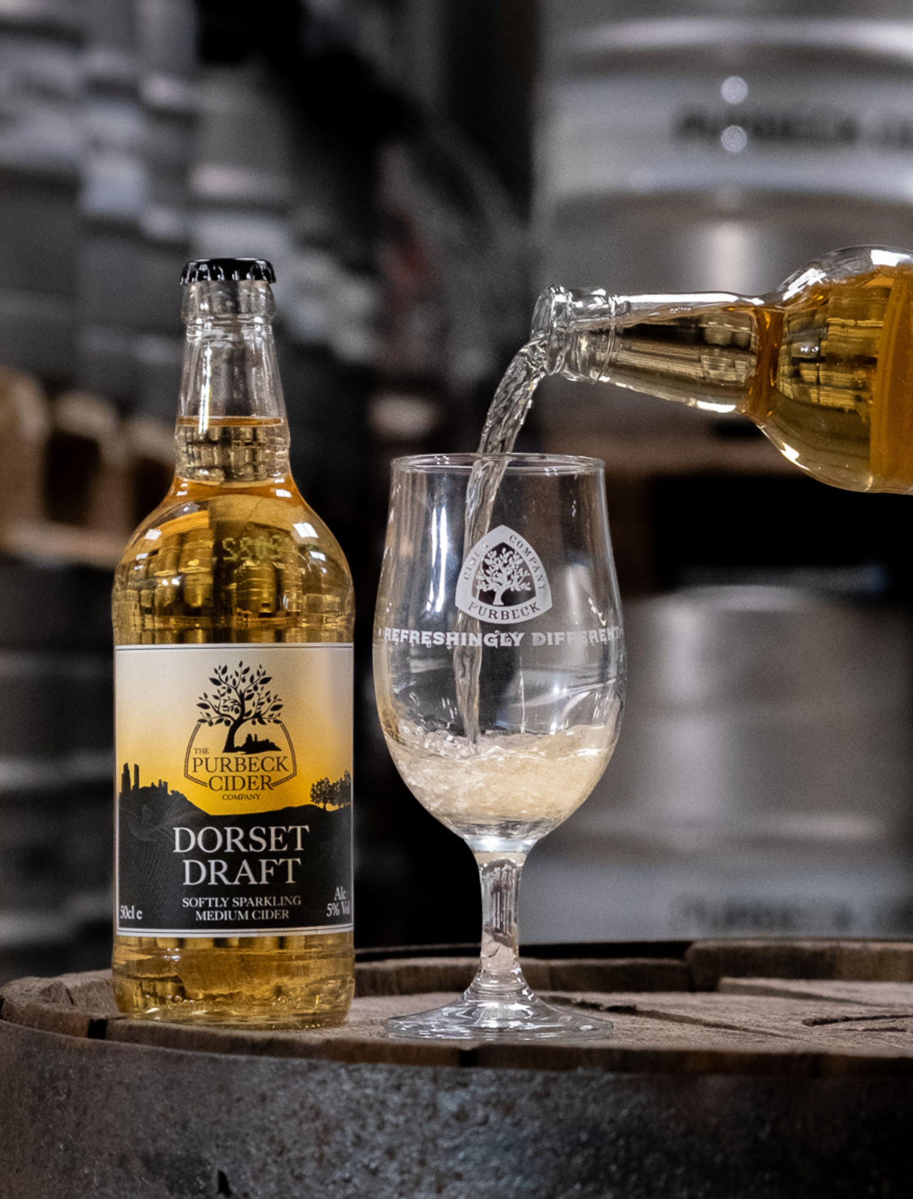 Dorset Draft