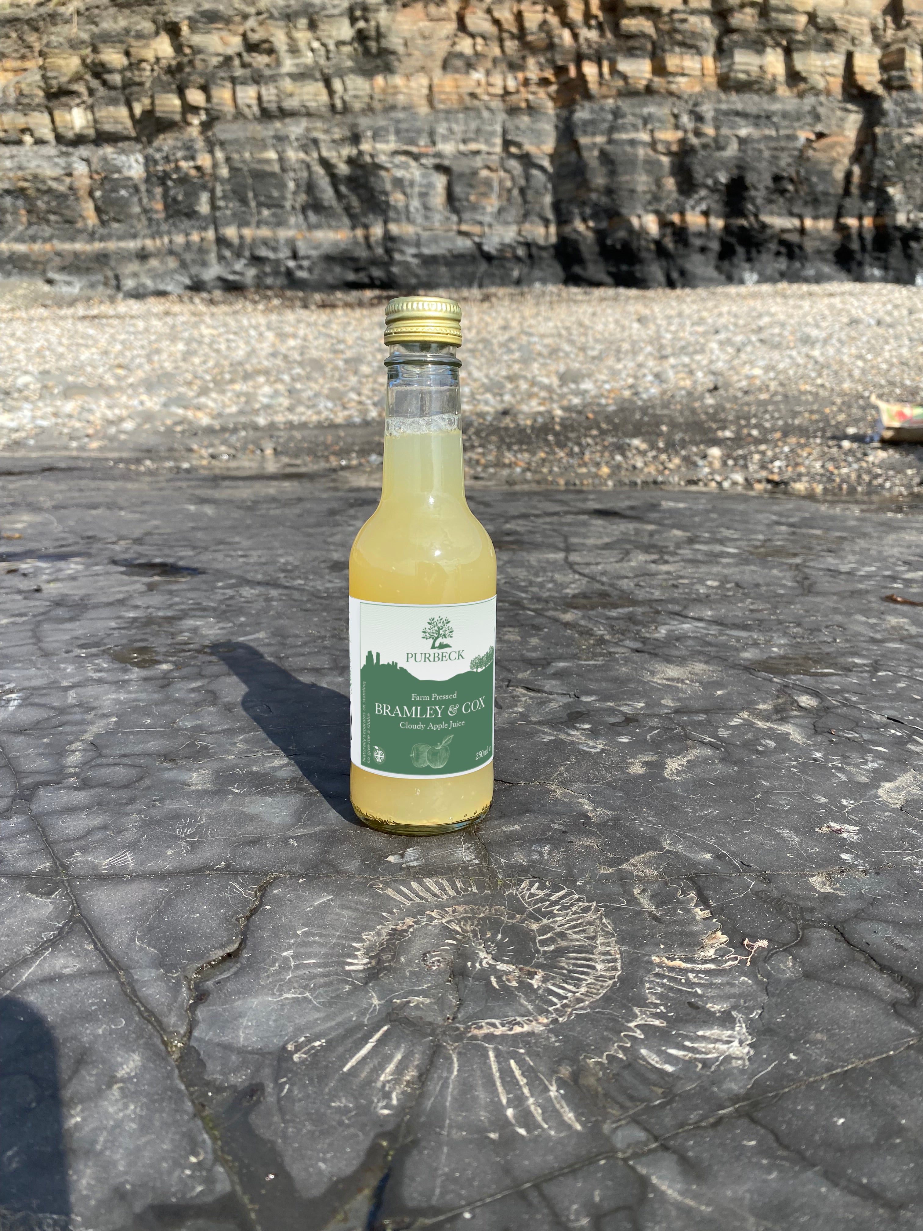 Bramley & Cox Apple Juice (sm)