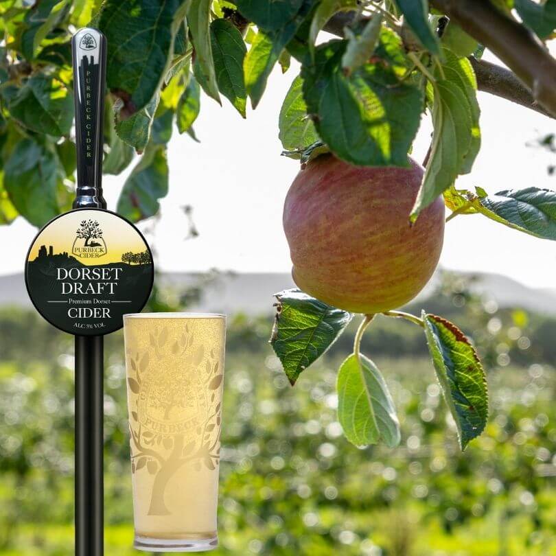 cider in orchard